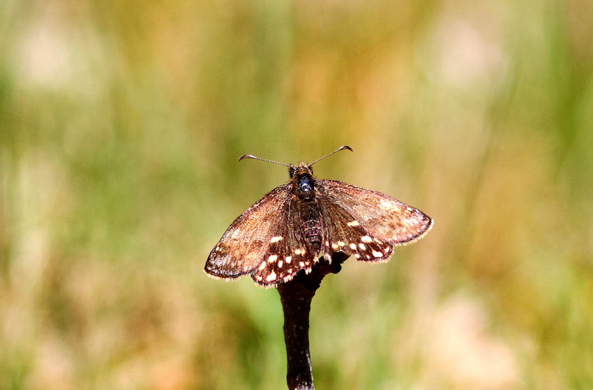 d0069235_22072404.jpg