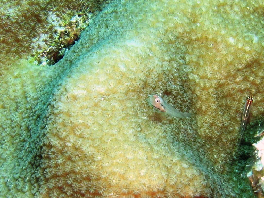 フォトコン審査結果発表~(^^)/_a0189838_05535771.jpg