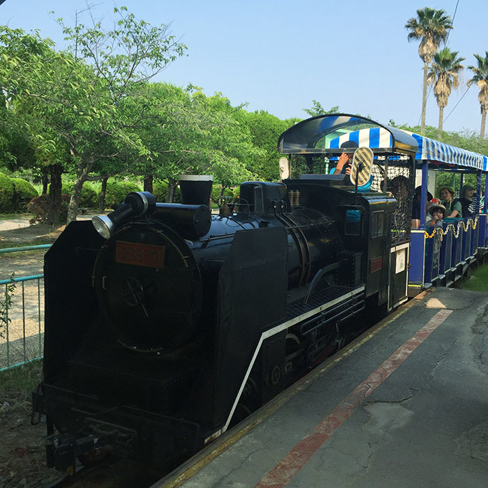 神野公園こども遊園地へ。_d0177239_18221475.jpg