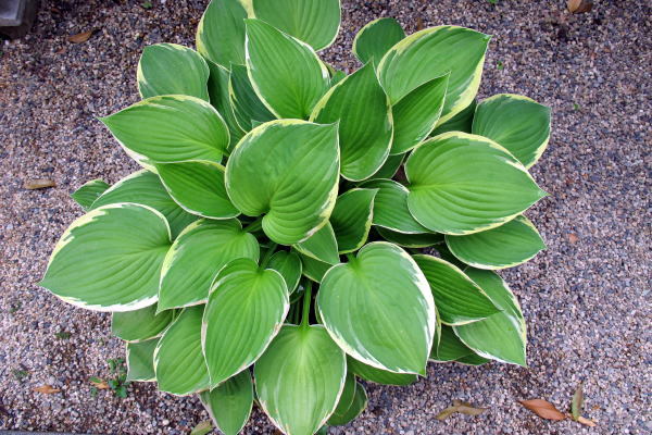c0147952_00351257.jpg