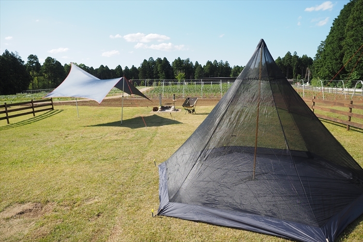 【キャンプ場詳細レポート】THE FARM CAMP フリーサイト編①　～採れ立て野菜キャンプ！_b0008655_16073565.jpg