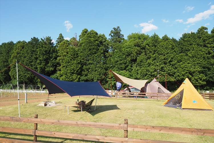 【キャンプ場詳細レポート】THE FARM CAMP フリーサイト編①　～採れ立て野菜キャンプ！_b0008655_16140240.jpg
