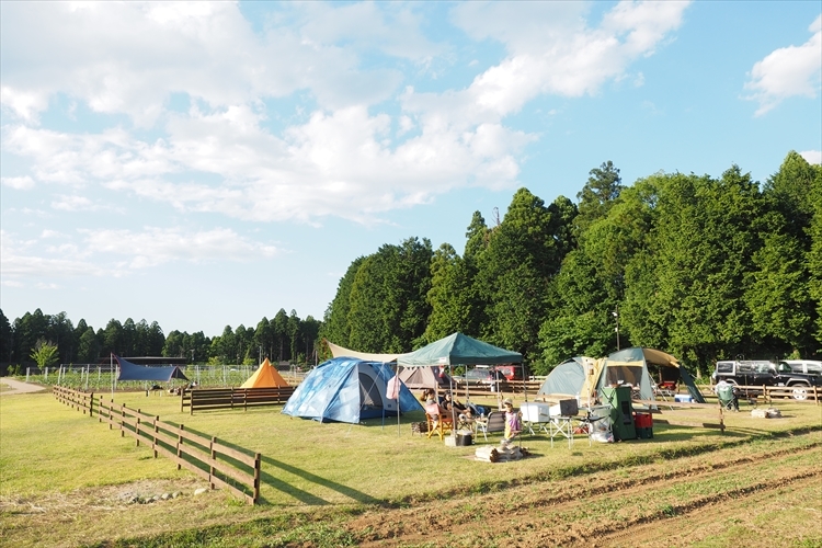 【キャンプ場詳細レポート】THE FARM CAMP フリーサイト編①　～採れ立て野菜キャンプ！_b0008655_16205947.jpg
