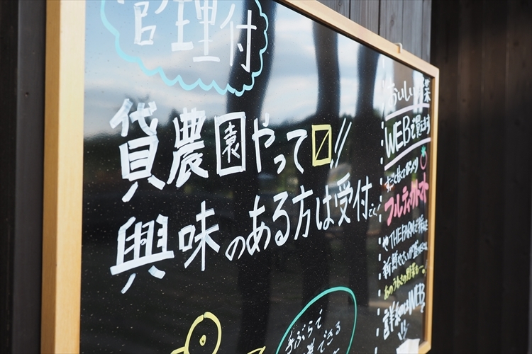 【キャンプ場詳細レポート】THE FARM CAMP フリーサイト編①　～採れ立て野菜キャンプ！_b0008655_16211070.jpg
