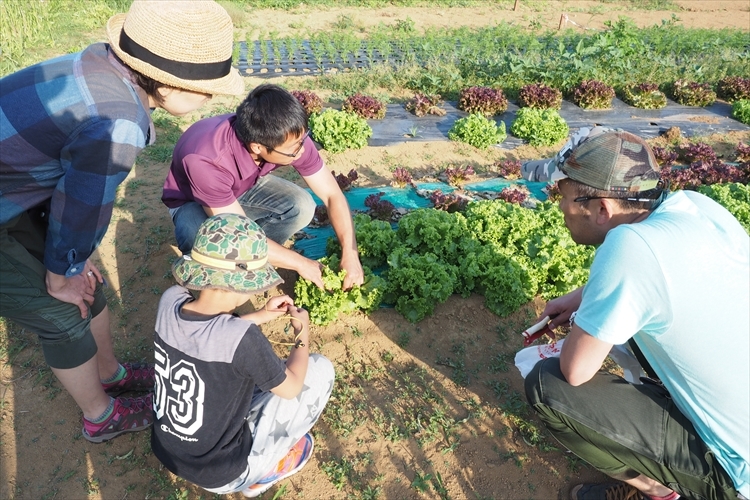 【キャンプ場詳細レポート】THE FARM CAMP フリーサイト編①　～採れ立て野菜キャンプ！_b0008655_16214473.jpg