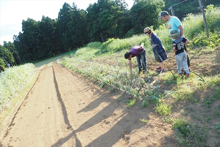 【キャンプ場詳細レポート】THE FARM CAMP フリーサイト編①　～採れ立て野菜キャンプ！_b0008655_16215369.jpg