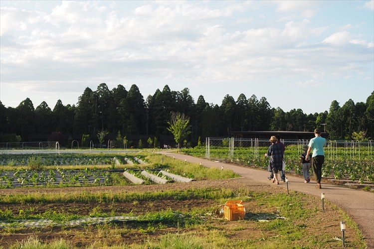 【キャンプ場詳細レポート】THE FARM CAMP フリーサイト編①　～採れ立て野菜キャンプ！_b0008655_16281333.jpg