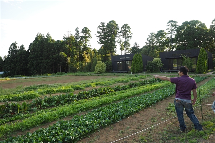 【キャンプ場詳細レポート】THE FARM CAMP フリーサイト編①　～採れ立て野菜キャンプ！_b0008655_16285750.jpg