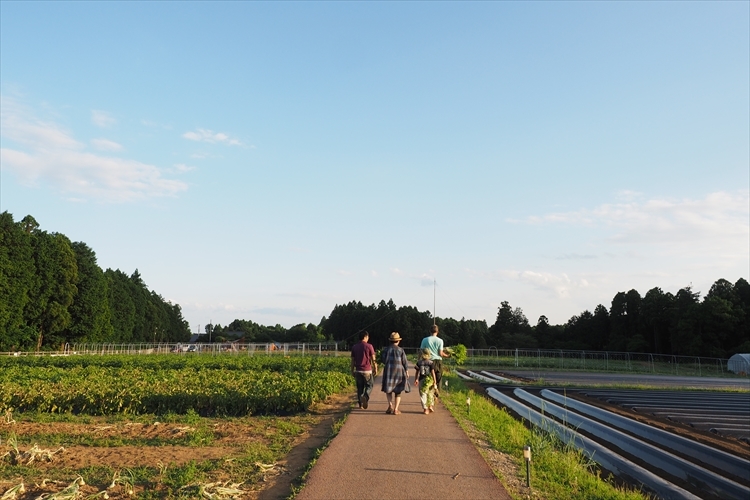 【キャンプ場詳細レポート】THE FARM CAMP フリーサイト編① ~採れ立て野菜キャンプ!_b0008655_16301008.jpg