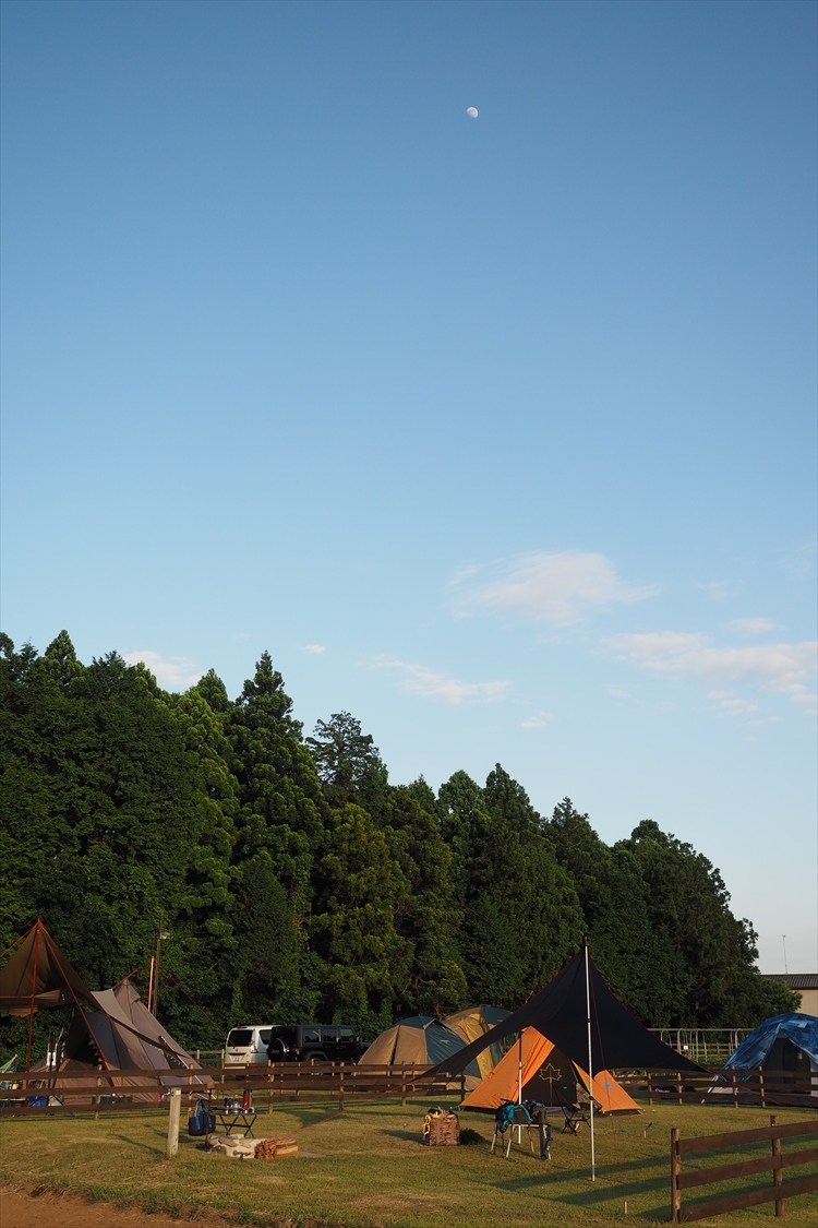 【キャンプ場詳細レポート】THE FARM CAMP フリーサイト編①　～採れ立て野菜キャンプ！_b0008655_16303873.jpg