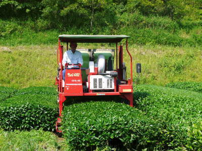 菊池水源茶 有機栽培の碾茶の茶摘み(2017)_a0254656_18021929.jpg