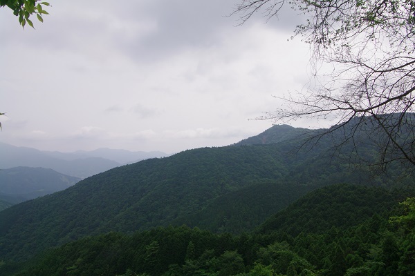 龍爪山　（静岡市葵区）_d0164761_13511635.jpg