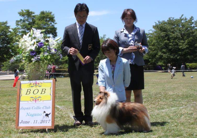 6.11(日)JCC 長野展_a0139367_22121523.jpeg