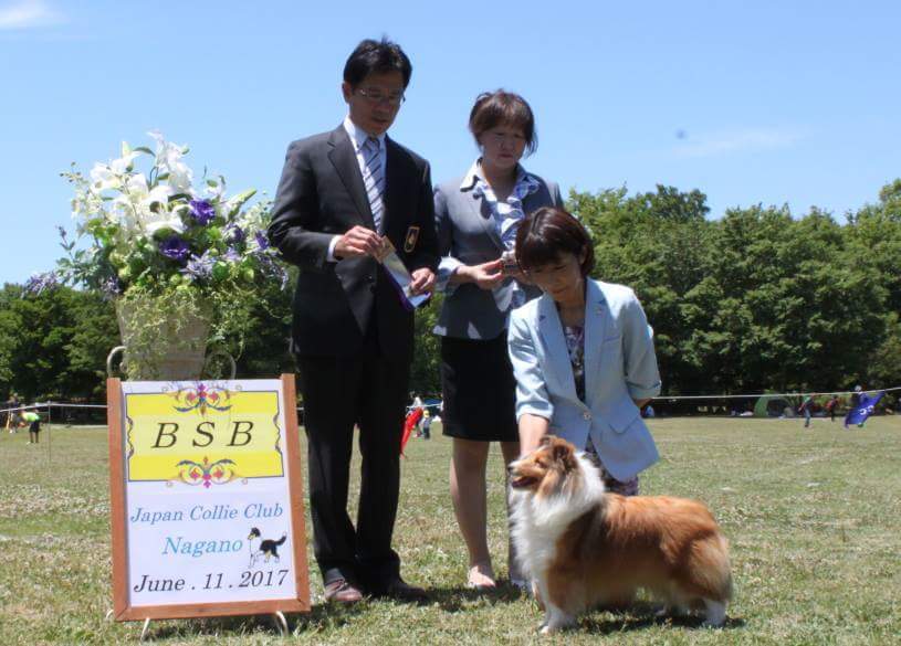 6.11(日）JCC 長野展_a0139367_22131049.jpeg