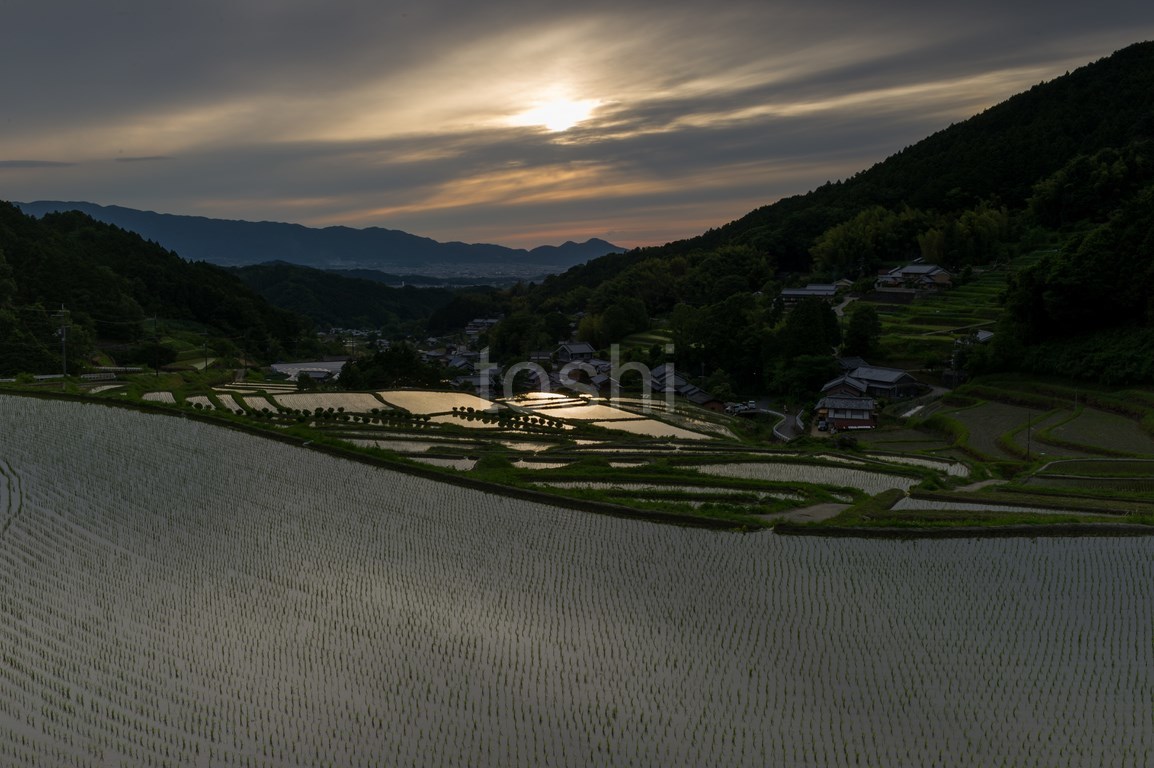 細川の天使_c0350572_22594621.jpg