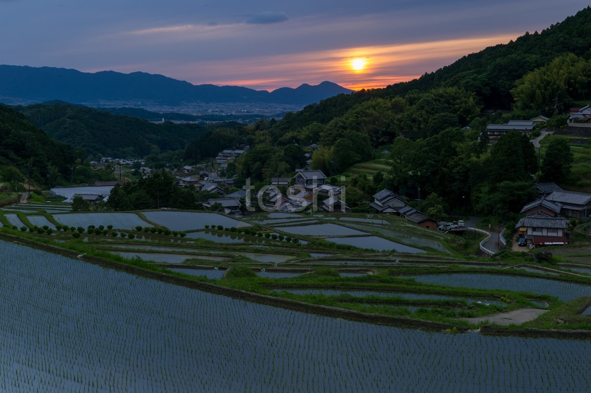 細川の天使_c0350572_22595431.jpg