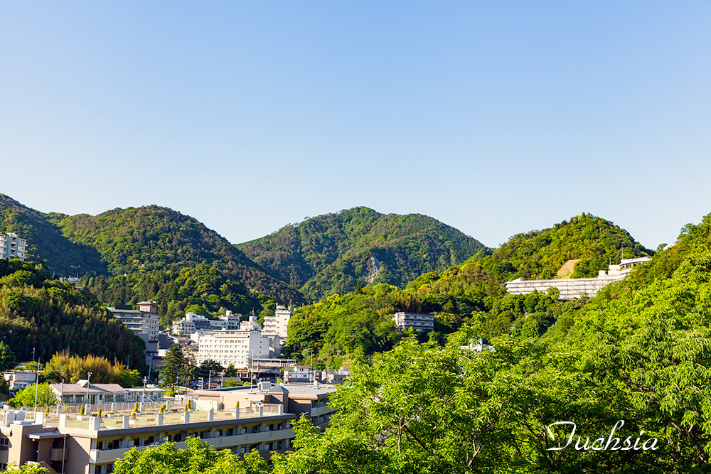 鳴門～神戸旅行記＜４＞_f0127273_14393812.jpg