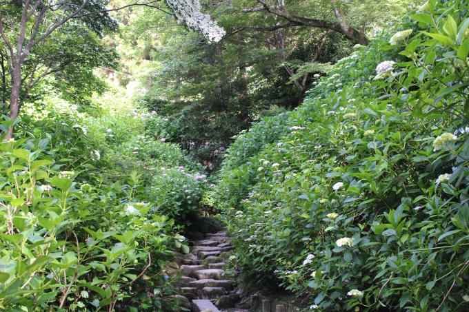 b0140774_07465718.jpg