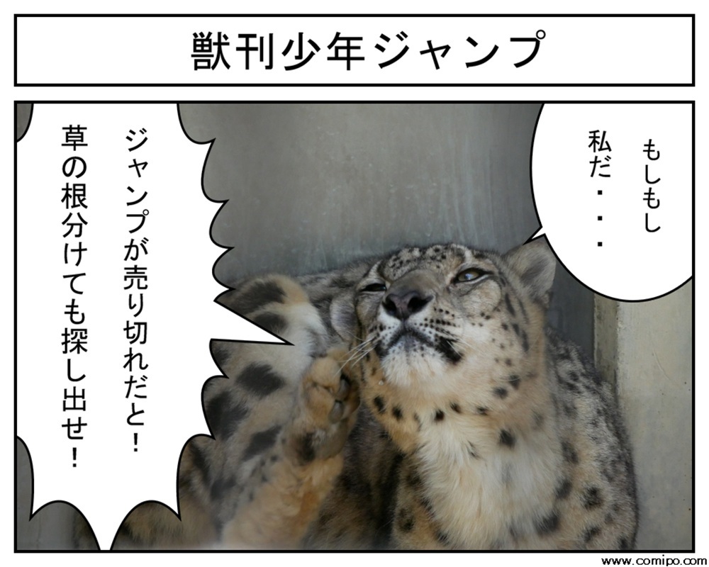 ジャンプを読みたいユキヒョウの１コマ漫画♪_d0365083_18543234.jpg