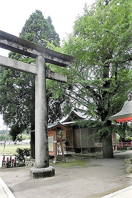 鹿児島県南九州市知覧町武家屋敷にて松山先生、久保君と・・・特攻隊平和祈念館に眠る若者達_d0181492_07460022.jpg