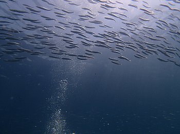 f0079996_15503568.jpg