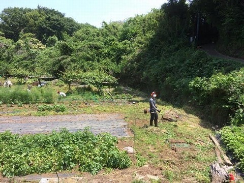 e0270403_10280980.jpg