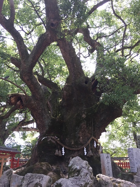 宇美八幡宮（糟屋郡宇美町）・１_f0364707_21074349.jpg