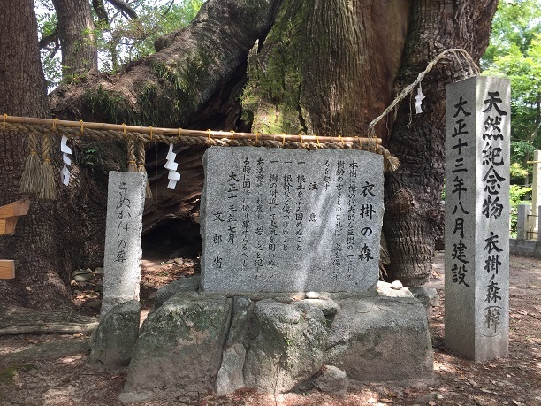 宇美八幡宮（糟屋郡宇美町）・２_f0364707_21081848.jpg