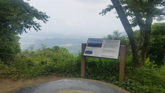 f0196109_21443806.jpg