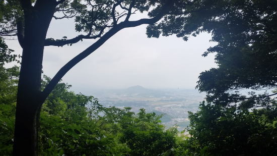 f0196109_21452232.jpg