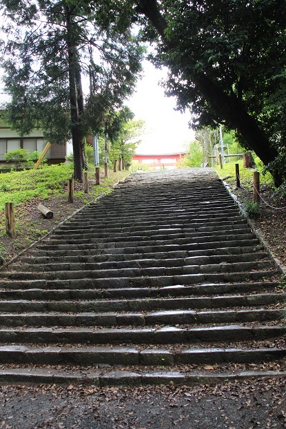 賀茂神社_a0147813_23481129.jpg