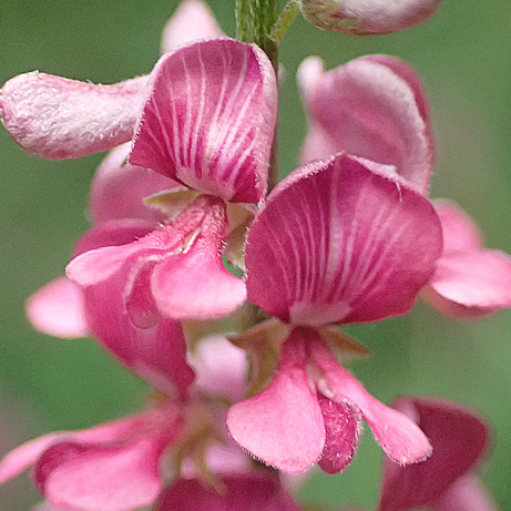 c0190915_17494776.jpg