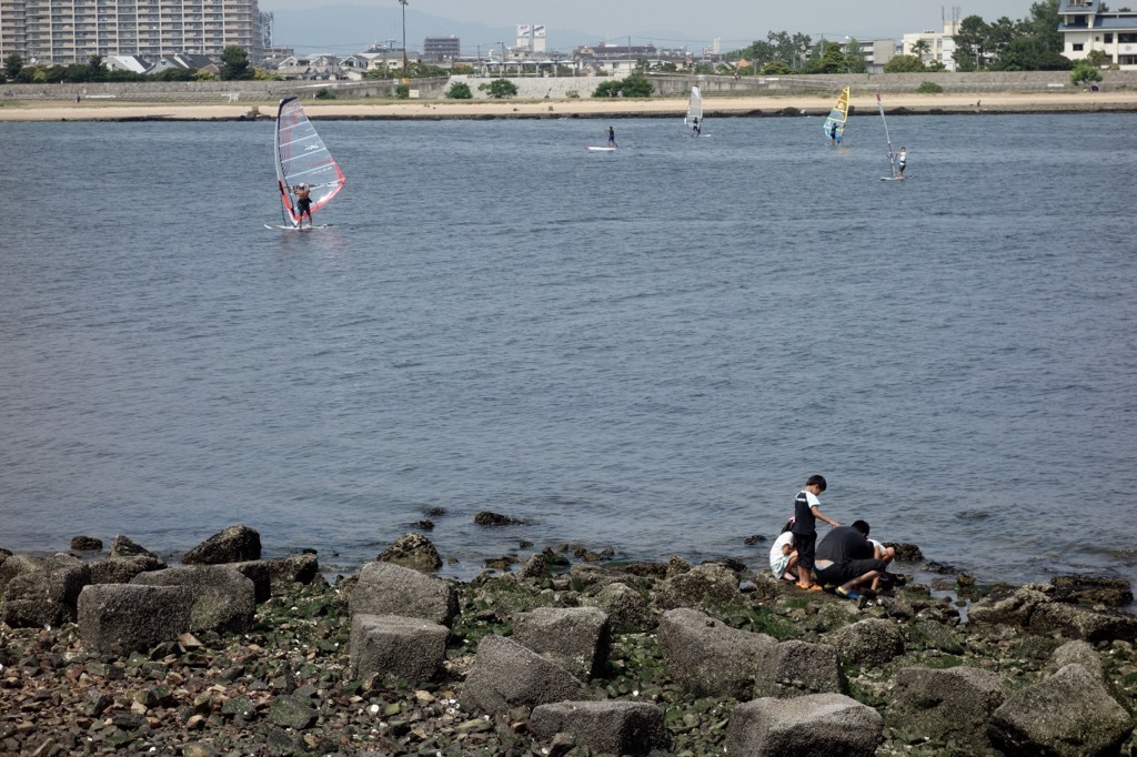 昨日に続いて、甲子園浜_e0077517_10244092.jpg