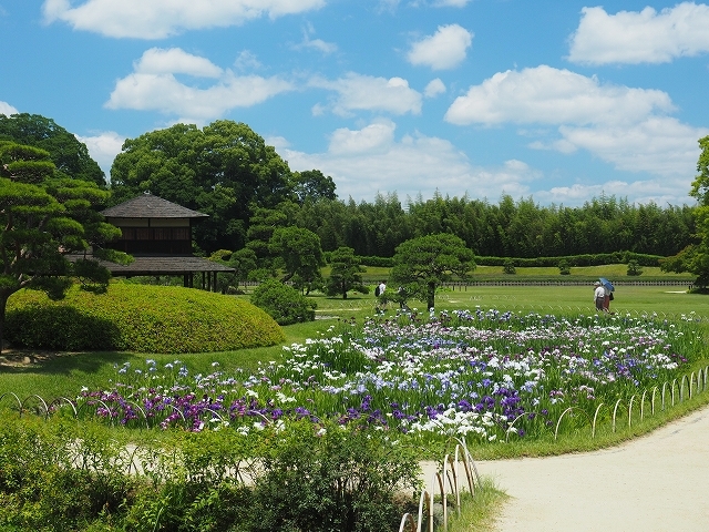 \" 岡山後楽園 花菖蒲と大賀ハス \"_f0350223_21244713.jpg