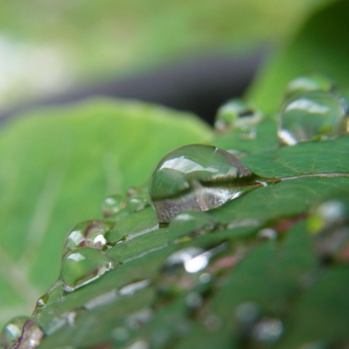 梅雨でしたね_e0059726_08392220.jpg