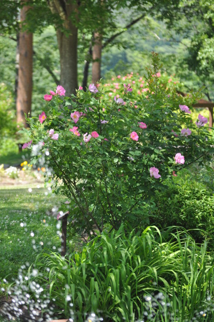 a0248728_20125451.jpg
