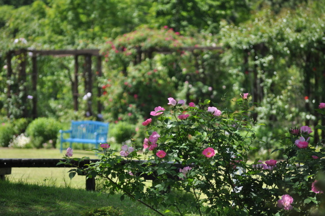a0248728_20135016.jpg