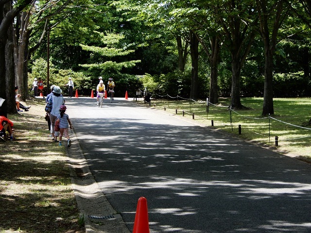 おにゃじ〝第19回関東マスターズロード選手権大会”を走る　part5_b0166128_20410829.jpg