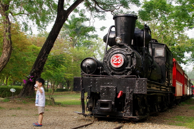 阿里山森林鉄道で活躍した『シェイ・ギアードロコ』_d0362031_08044071.jpg