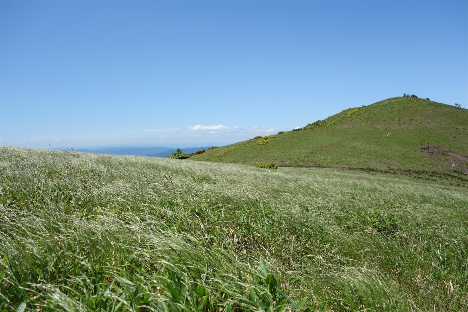 f0348933_14512159.jpg
