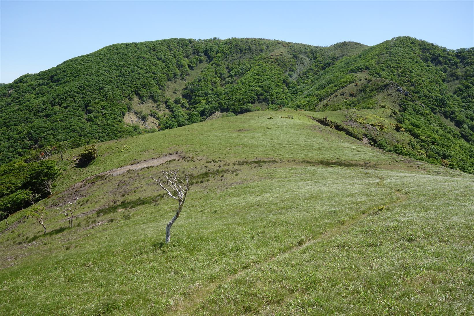 f0348933_14523507.jpg