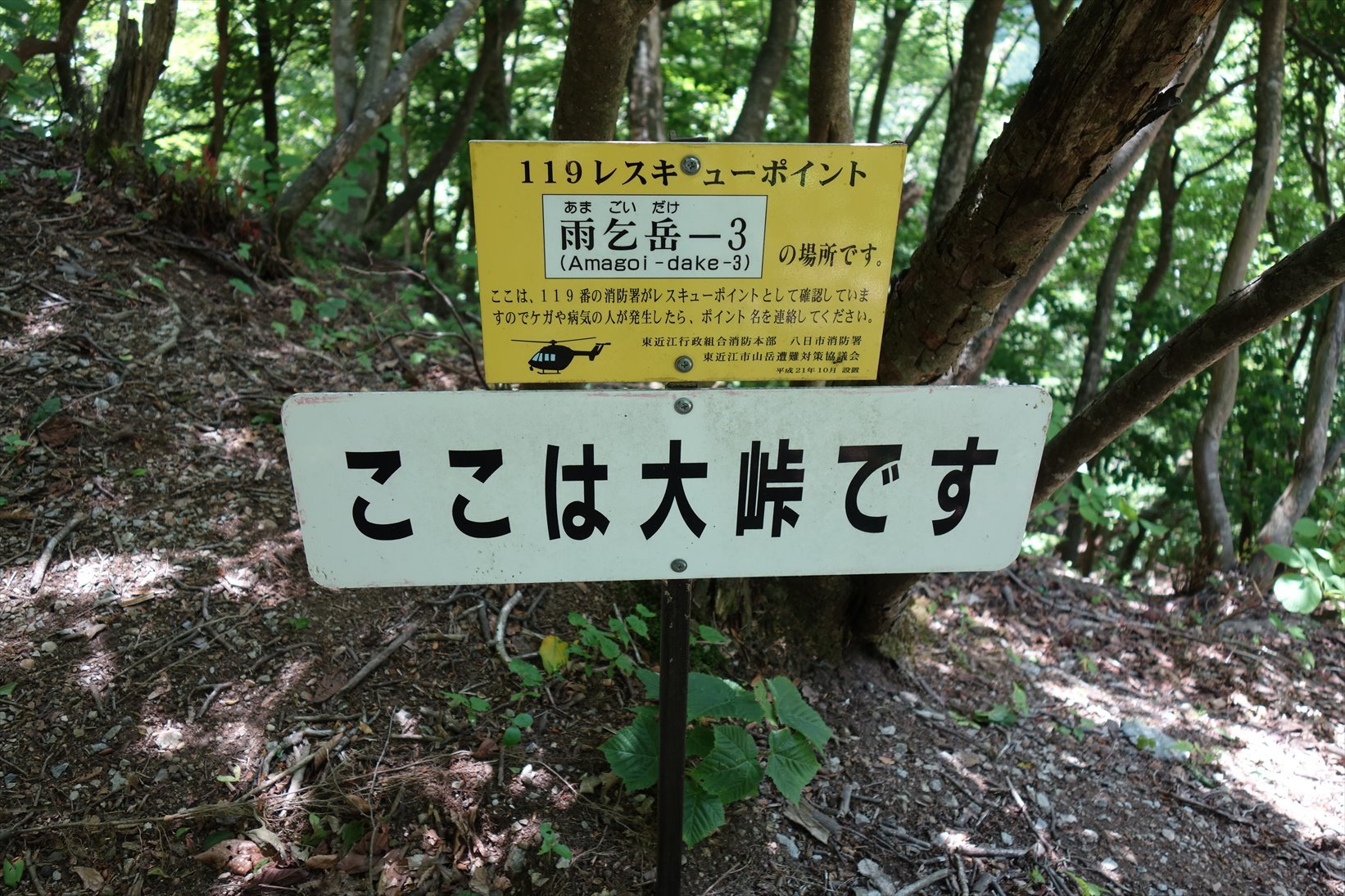 f0348933_15040722.jpg