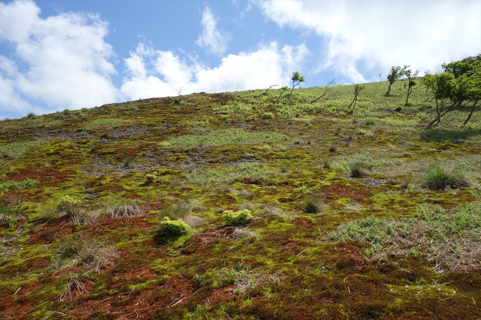 f0348933_15074267.jpg