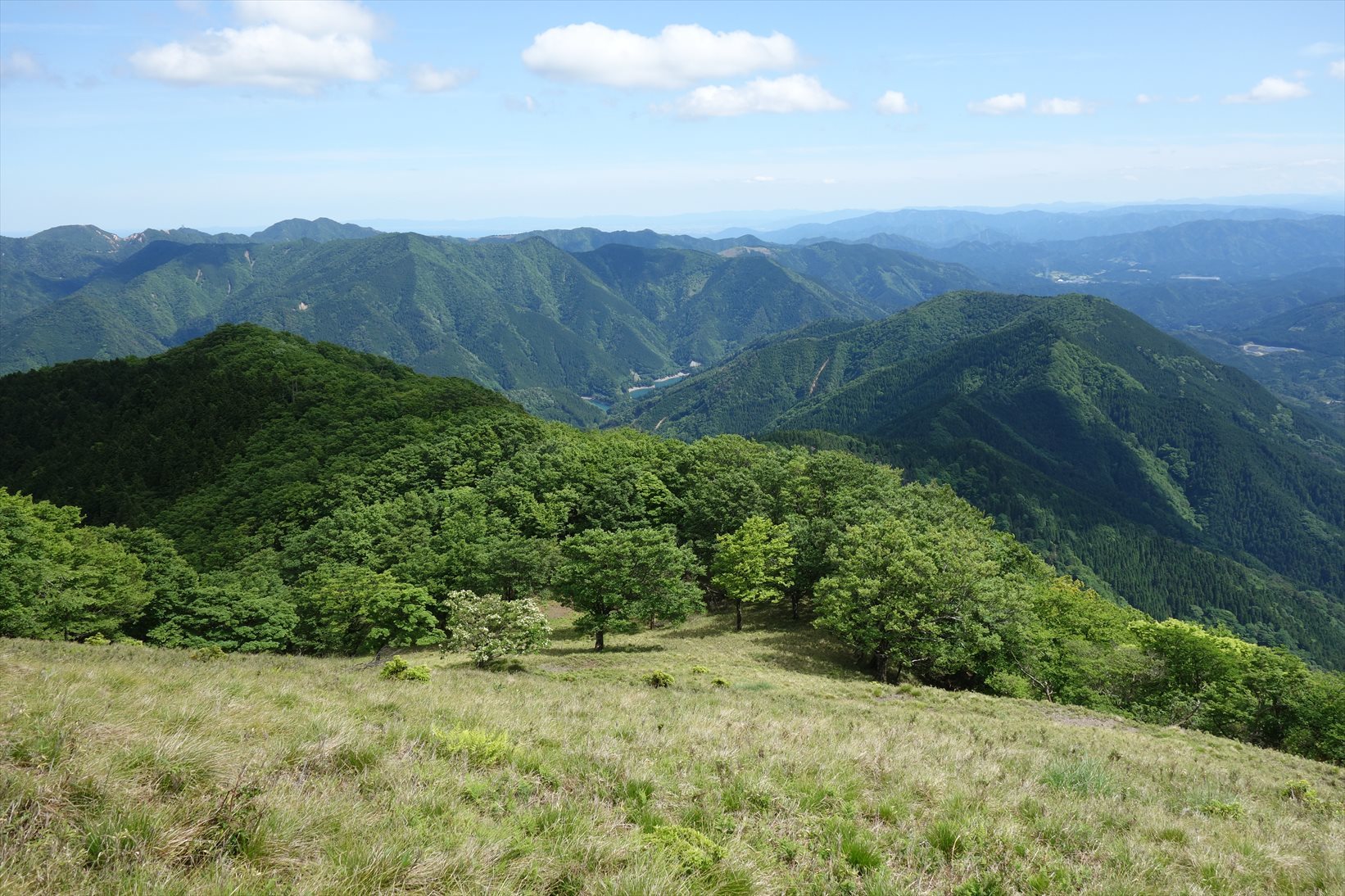 f0348933_15175571.jpg