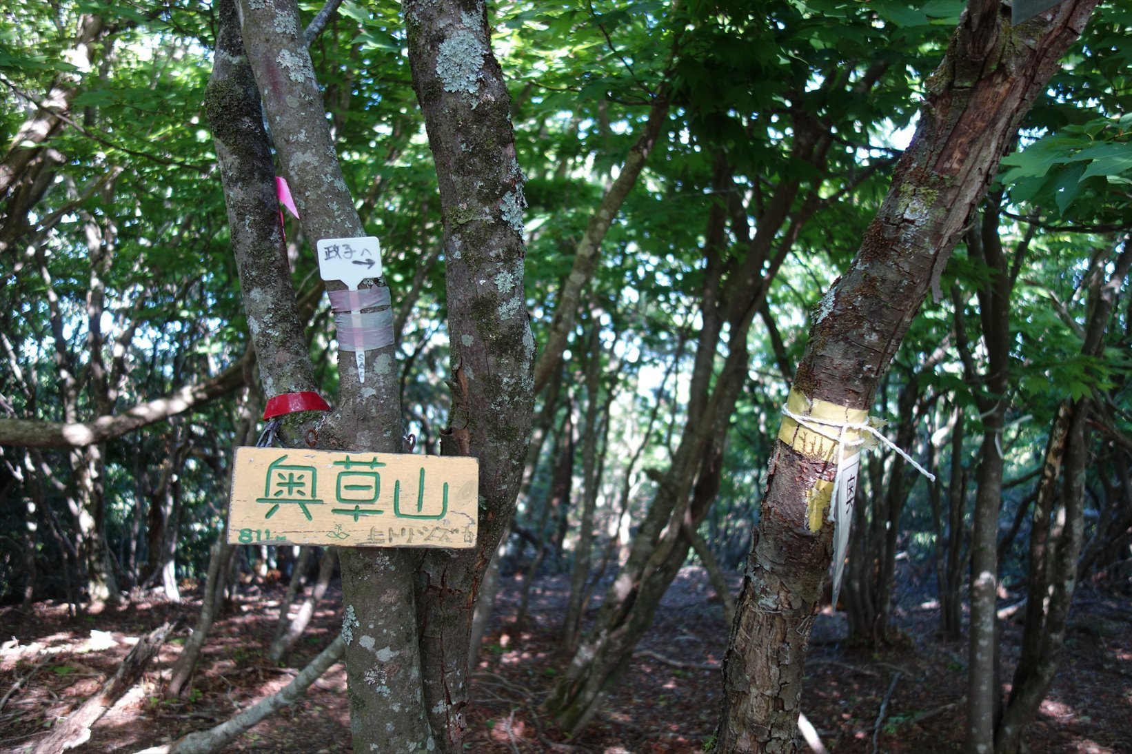 f0348933_15200423.jpg