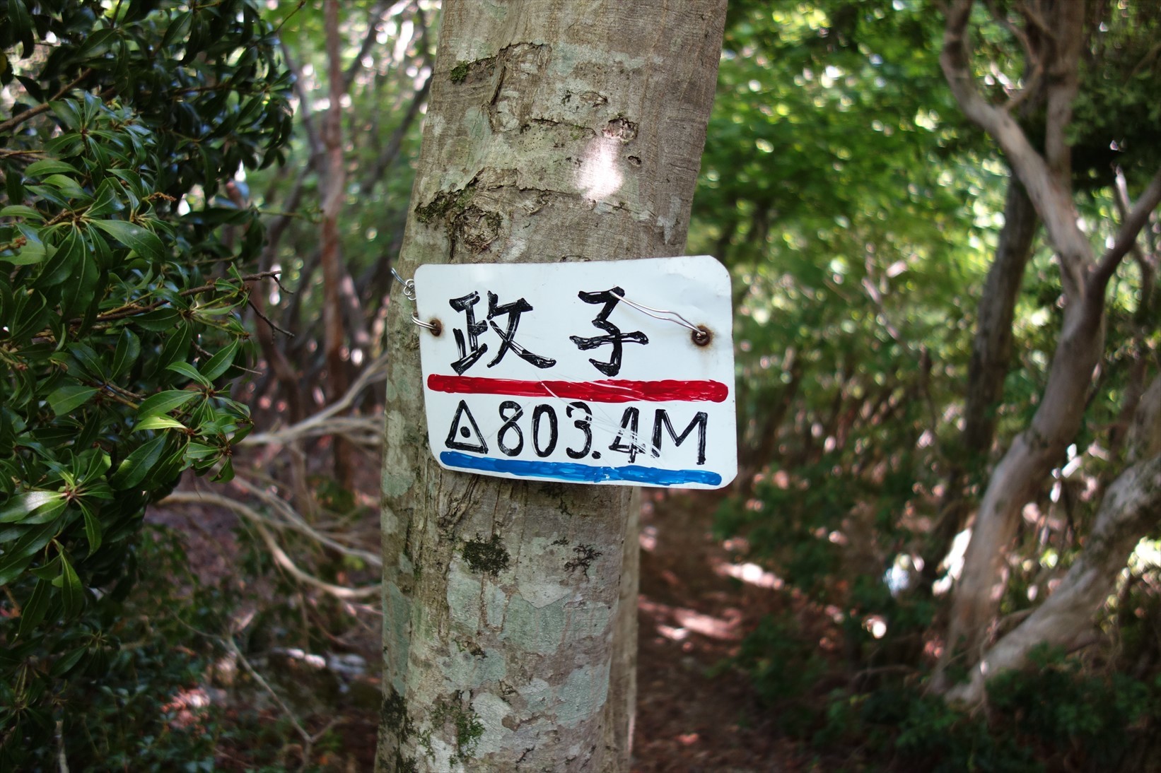 f0348933_15211281.jpg