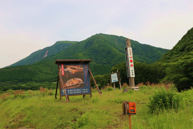 鳴子山のオオヤマレンゲはまだ蕾だった！_e0272335_1928561.jpg