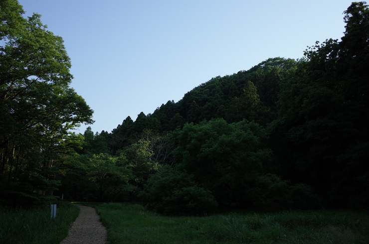a0287336_22112.jpg