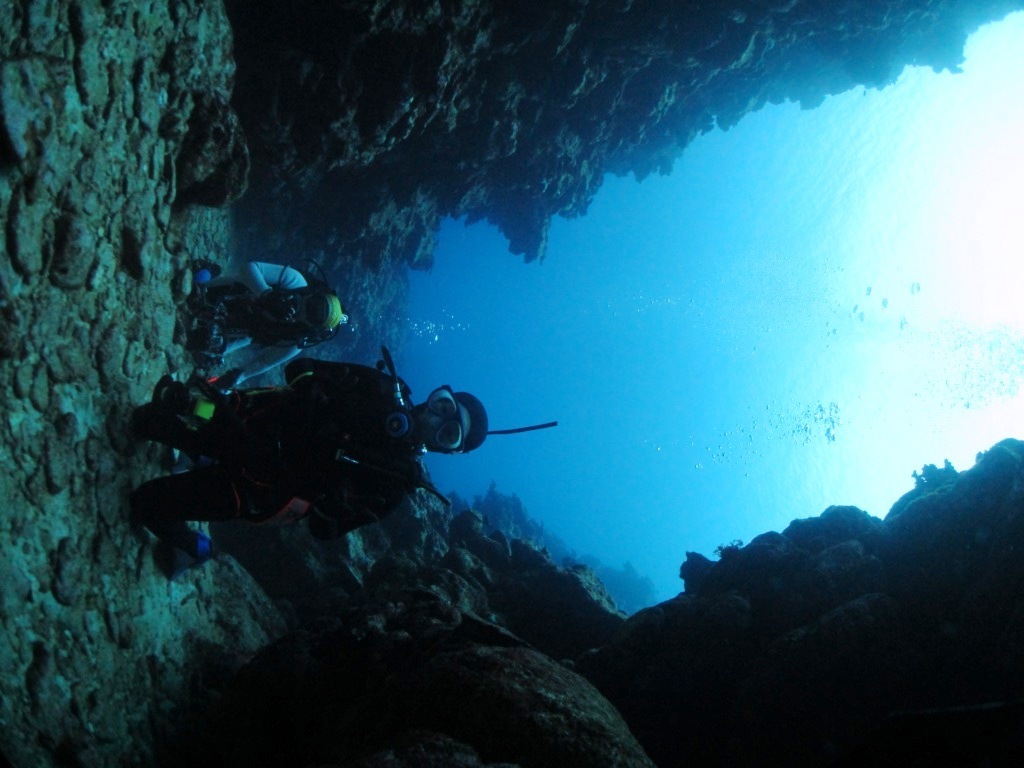 a0189838_05591706.jpg