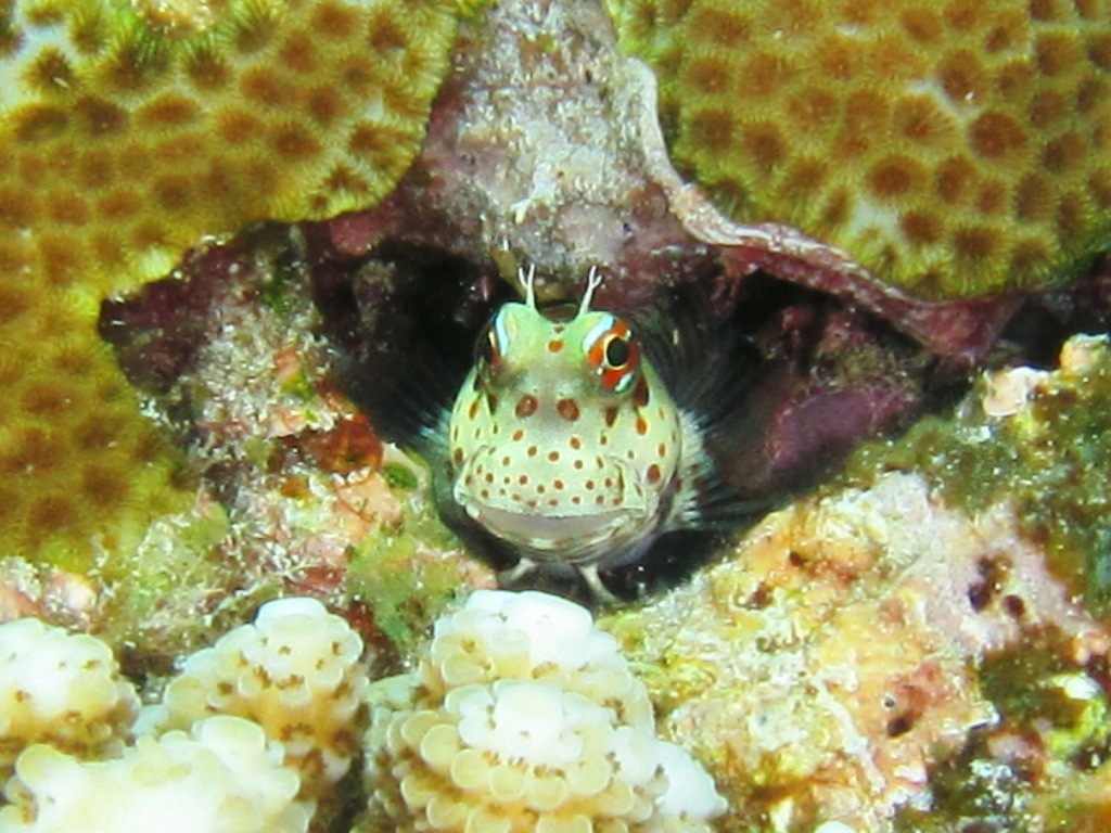 a0189838_06042427.jpg